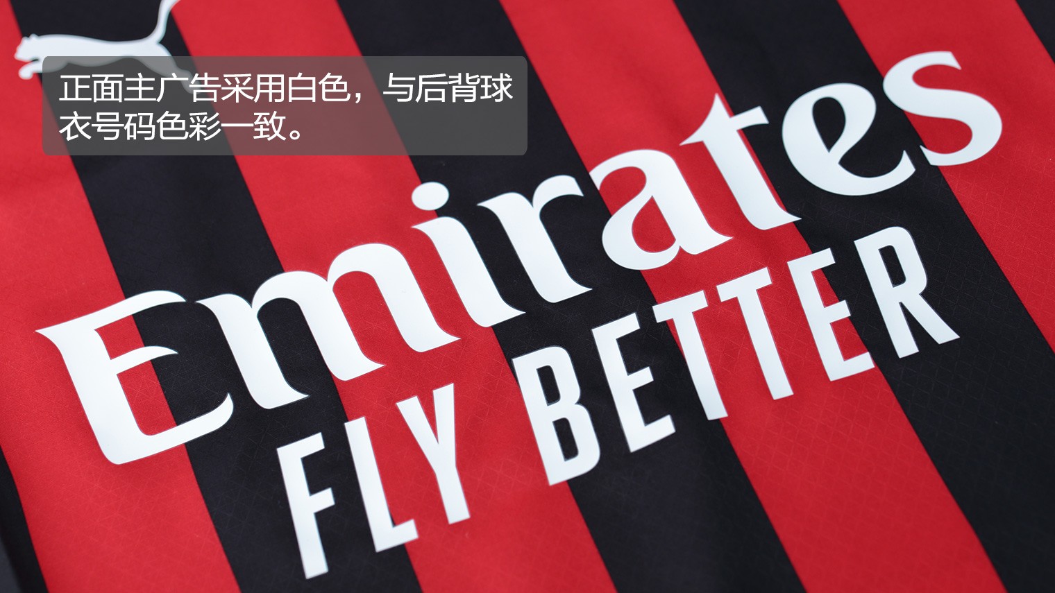 拒绝等待！贝塞斯达总监力挺游戏“空降发售”模式